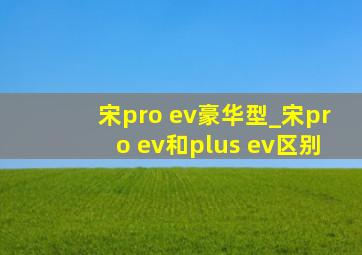 宋pro ev豪华型_宋pro ev和plus ev区别